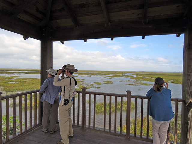 Group on Tower Jekyll Is., GA by Ventures Birding Tours